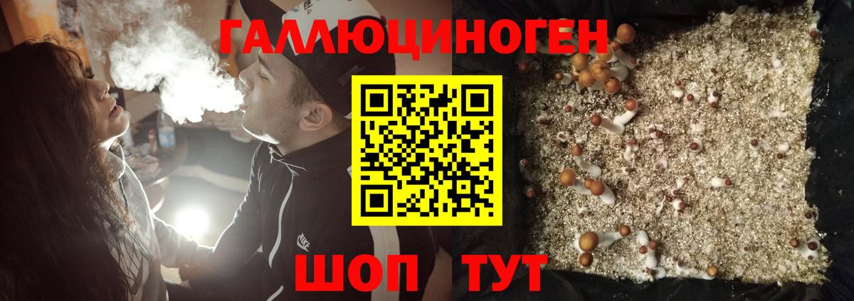 Галлюциногенные грибы GOLDEN TEACHER  Вход с VPN  Великий Устюг 